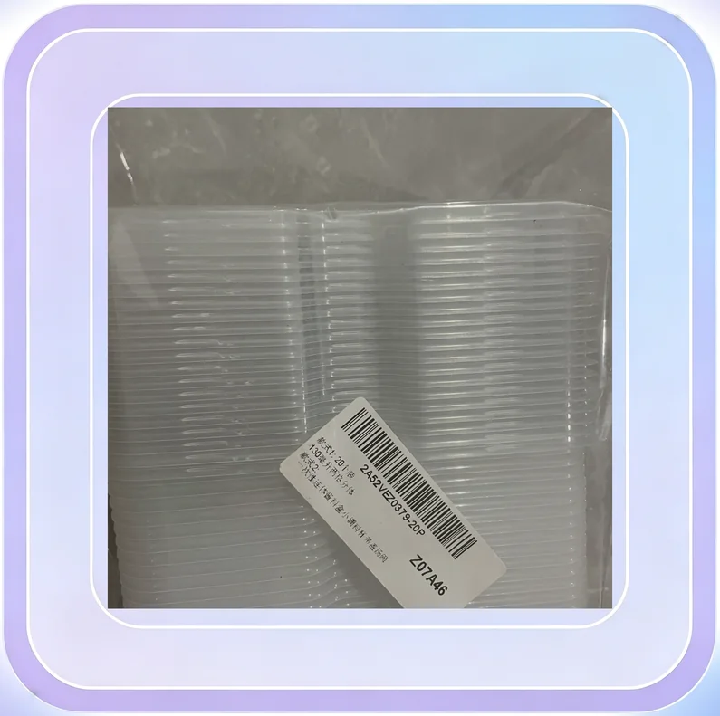 No.145_Karcher Vacuum Cleaner MV4 Flat Filter Accessory