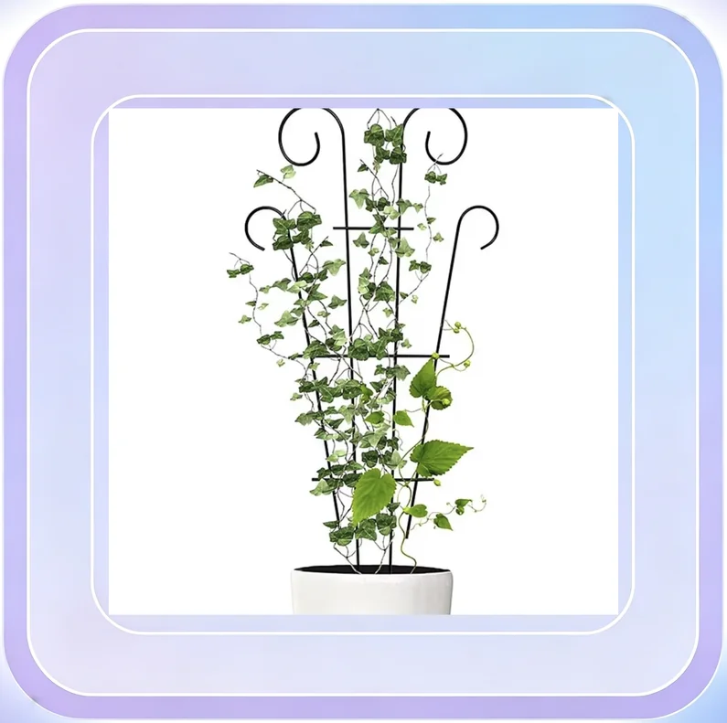 No.158_Black Plant Climbing Flower Pot Support