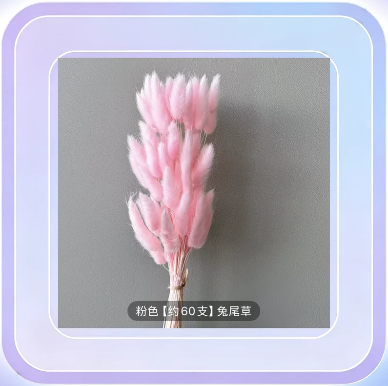 No.185_Purple-Red Dried Flower Bunny Tail Grass Bouquet (50 stems/bundle)