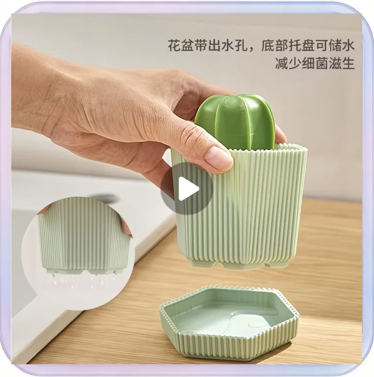 No_647_Household Kitchen Cactus Cleaning Brush (Green Pot with Green Brush + Gift Bag)